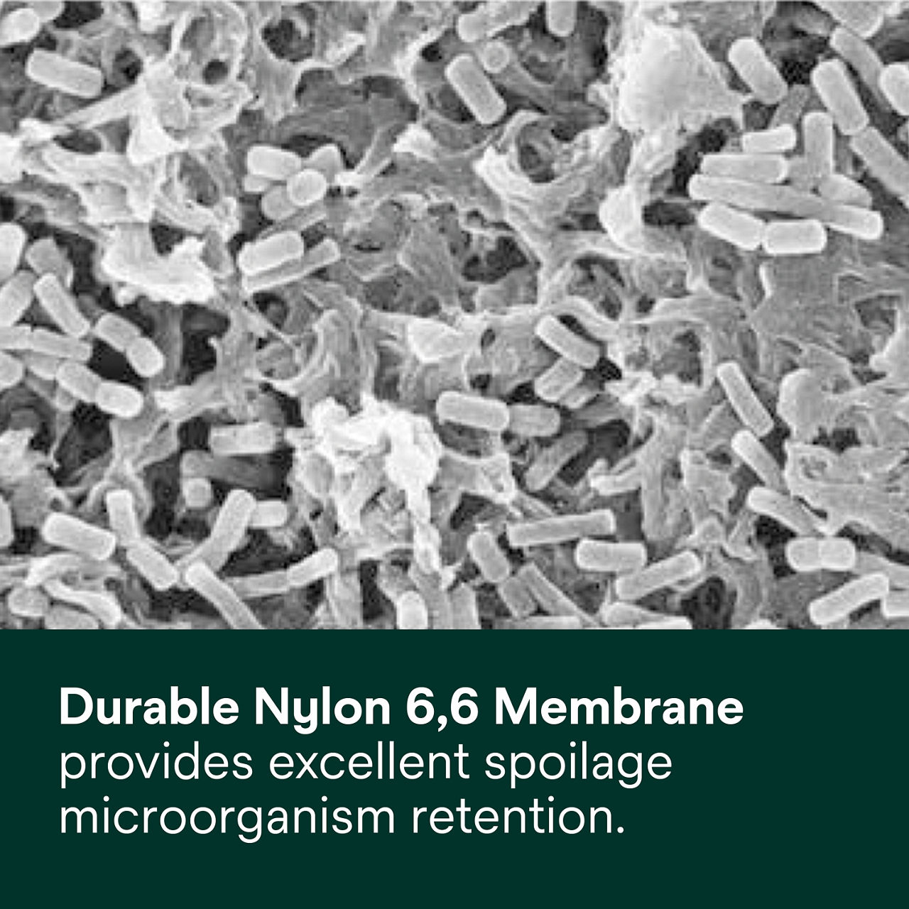 lifeassure-ba-series-filter-cartridge-pdp-secondary-image-2-pf-if-en-us.tif