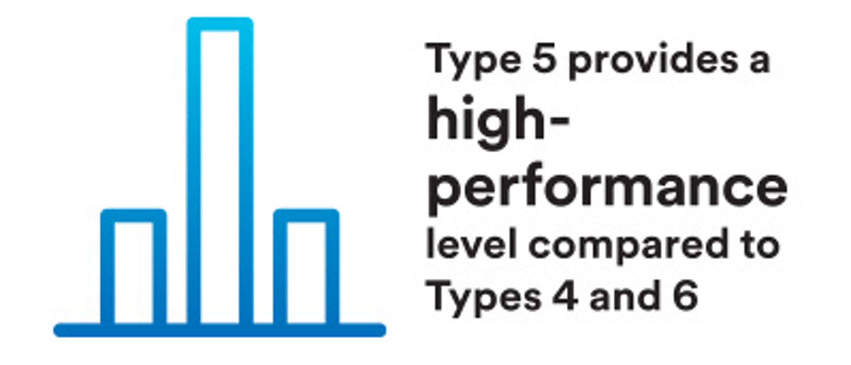 resized Type 5  infographic