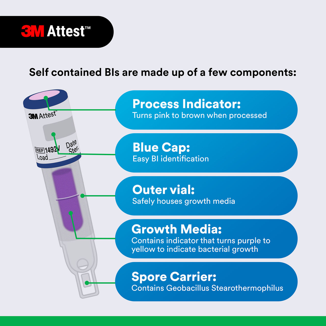 (5) BI components: process indicator, blue cap, outer vial, growth media, spore carrier