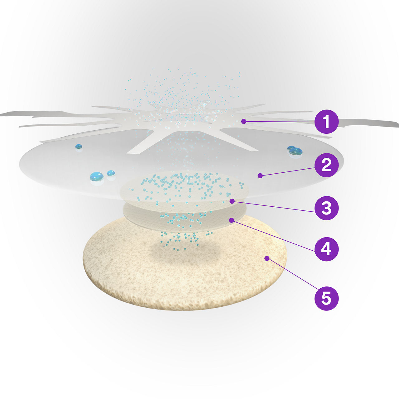 The 3M™ Tegaderm™ High Performance Foam Adhesive Dressing's unique multi-layer design combines high absorbency with breathability to reduce the risk of maceration and create a more positive patient experience.