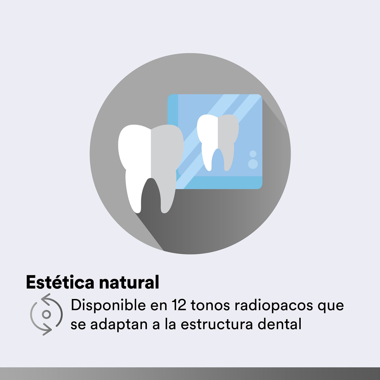 (4) Filtek Z250 Universal: Estética natural