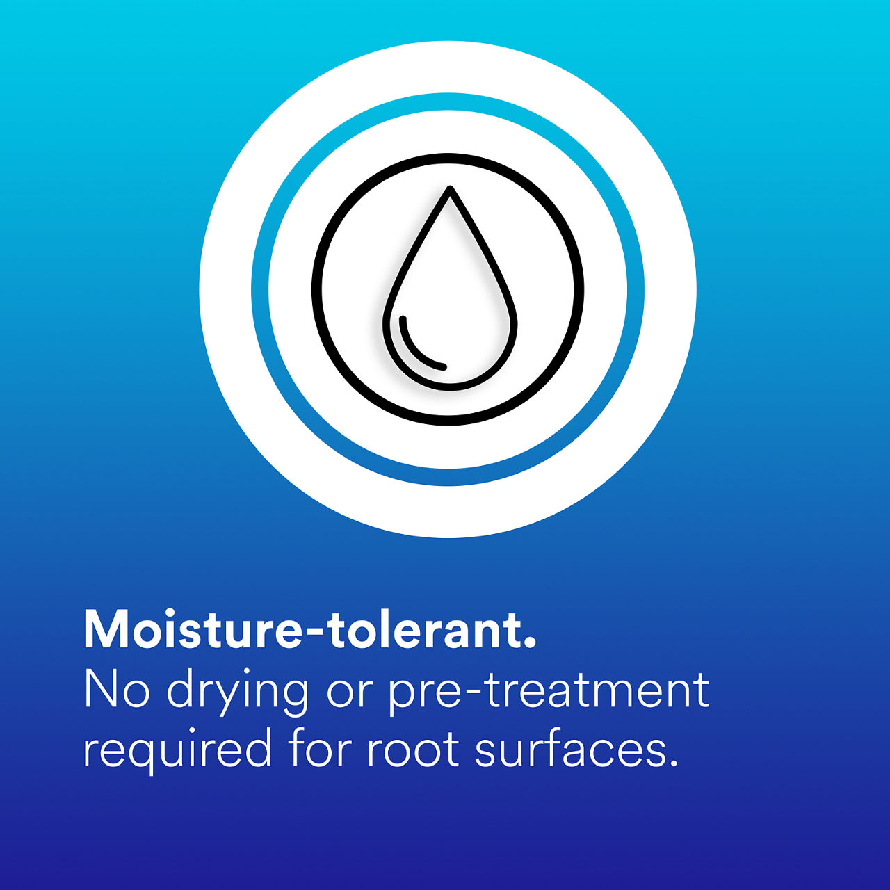 (4) Vanish XT: Moisture-tolerant no drying or pre-treatment required for root surfaces