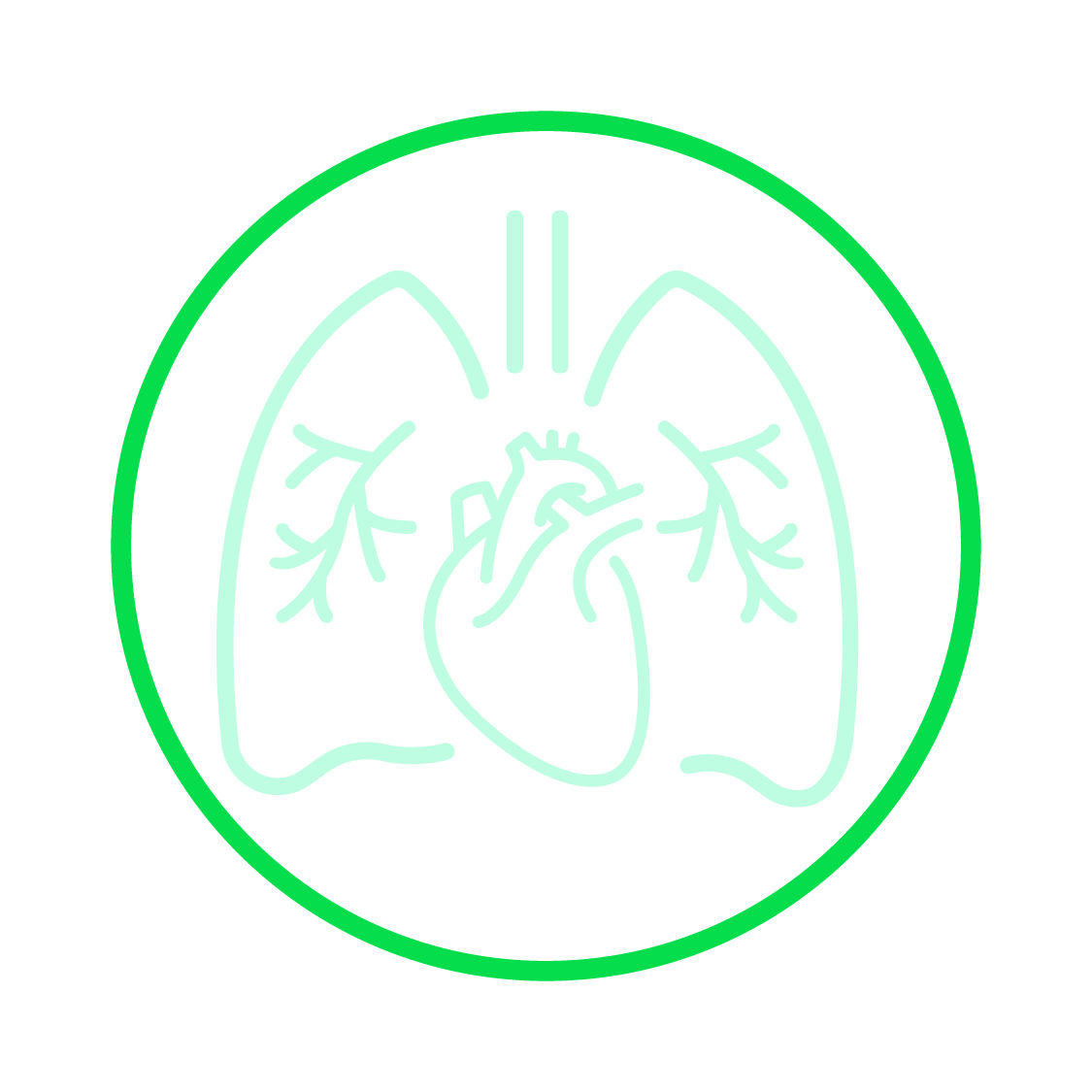 Prevena kardiyotorasik simgesi - açık yeşil