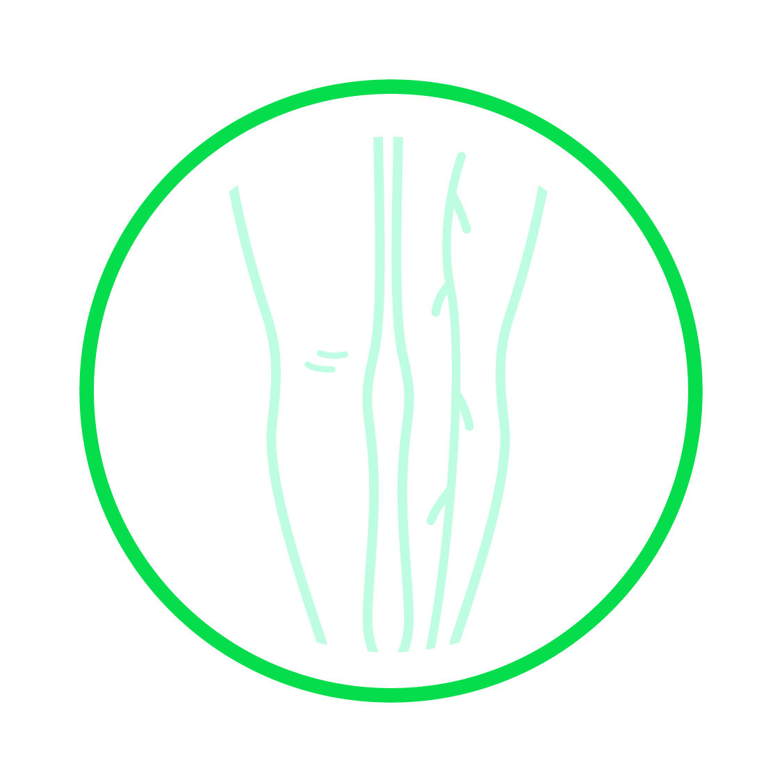 Icône illustrant prevena vasculaire - vert clair