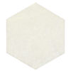 Matriz de Equilíbrio de Feridas 3M™ Promogran™ Plus, PS2123IP, Hexagon 123 cm2\, 10/Ct, 4 Cts/Cs