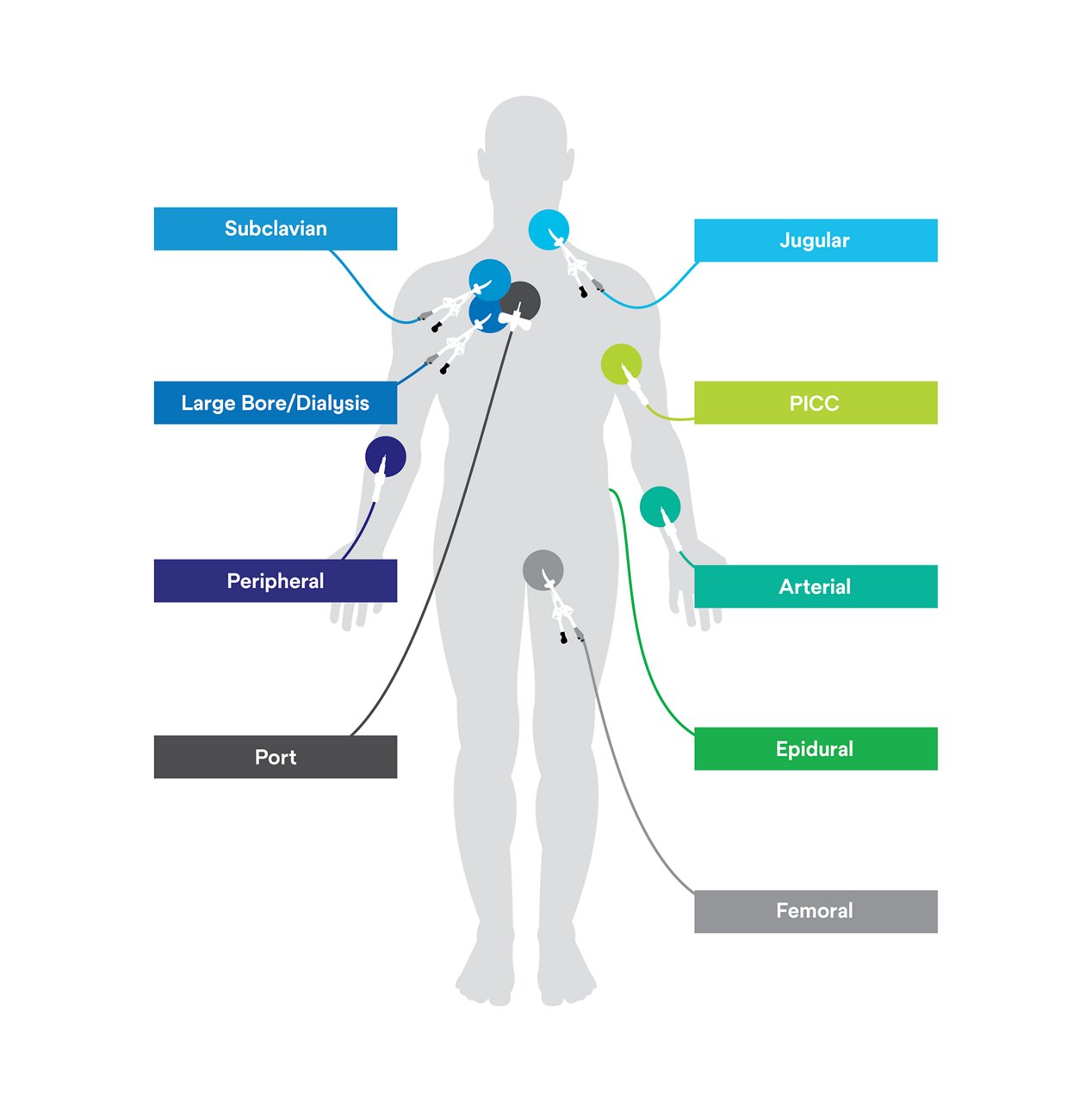 Illustrazione ampliata della raccomandazione di proteggere ogni linea, sempre, per le medicazioni IV antimicrobiche