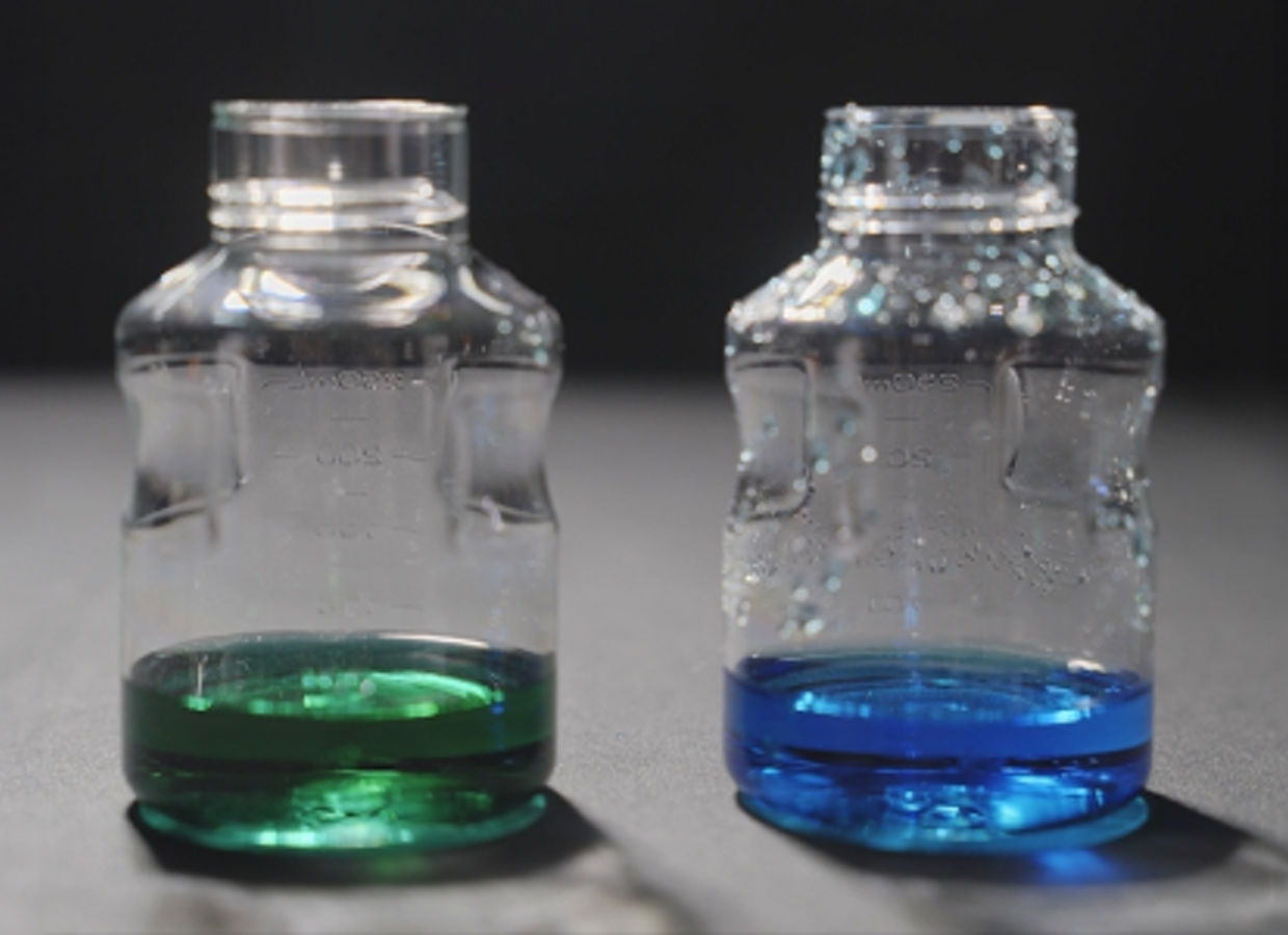 school-of-purification-webinar2-thumbnail-pf-bf-ko