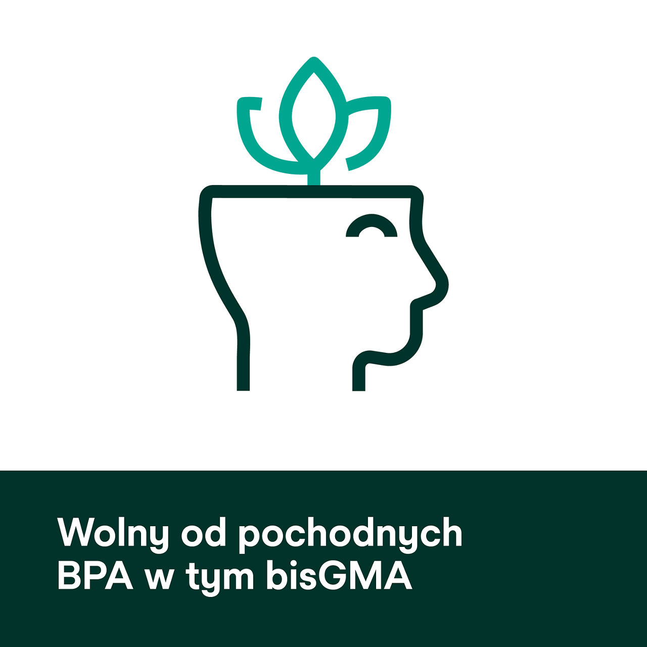 (5) ScotchBond™ Universal Adhesive Plus: Wolny od pochodnych BPA, w tym BisGMA