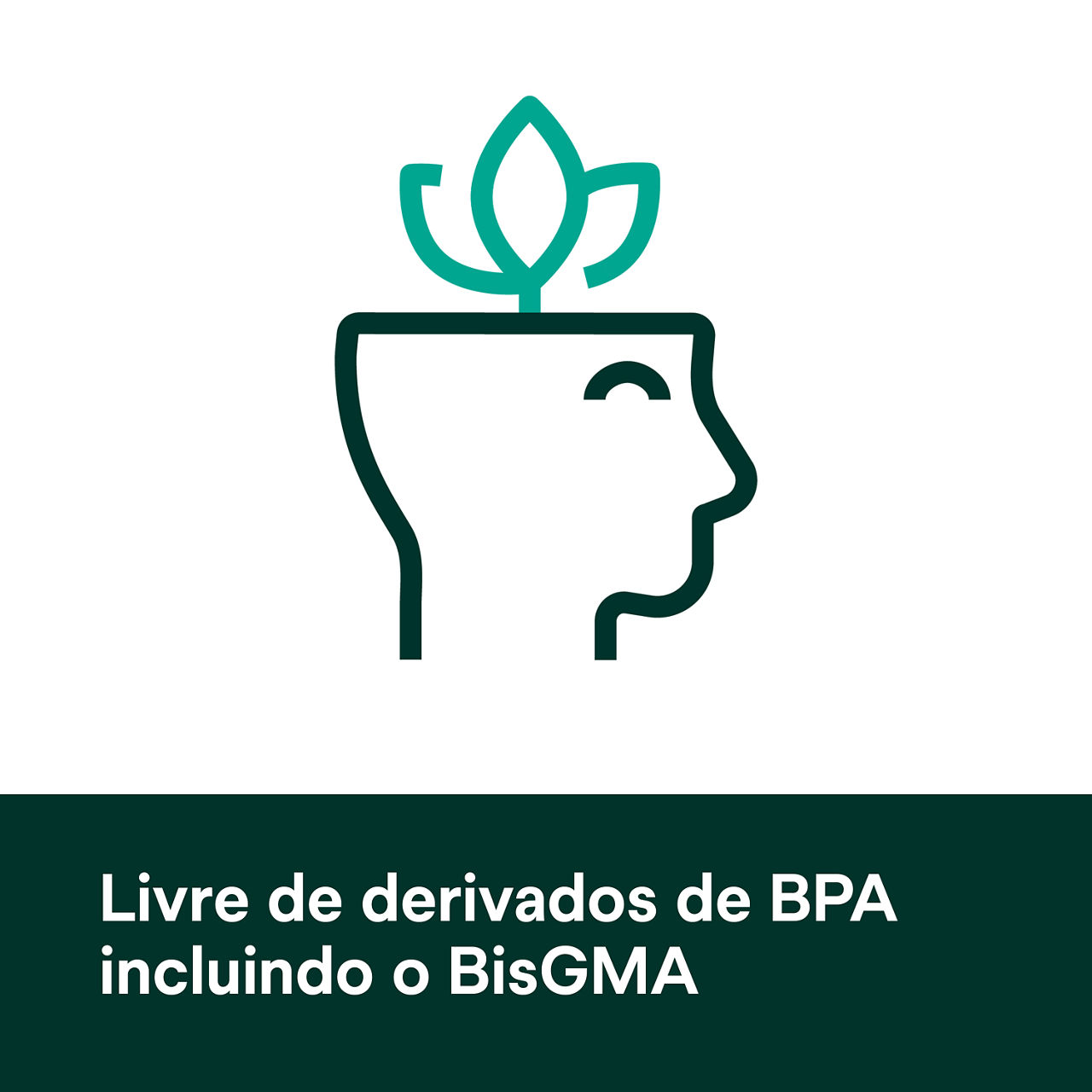 (5) Scotchbond Adesivo Universal Plus: Livre de derivados do BPA, incluindo BisGMA