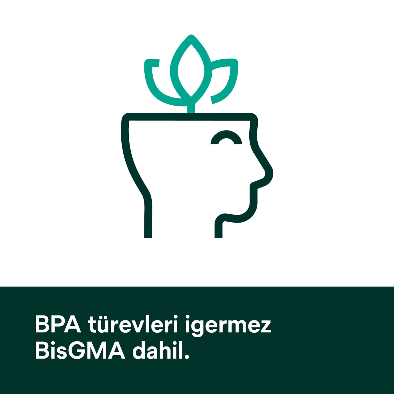 (5) Scotchbond Universal Plus Yapıştırıcı: BisGMA dahil BPA türevlerinden arındırılmış