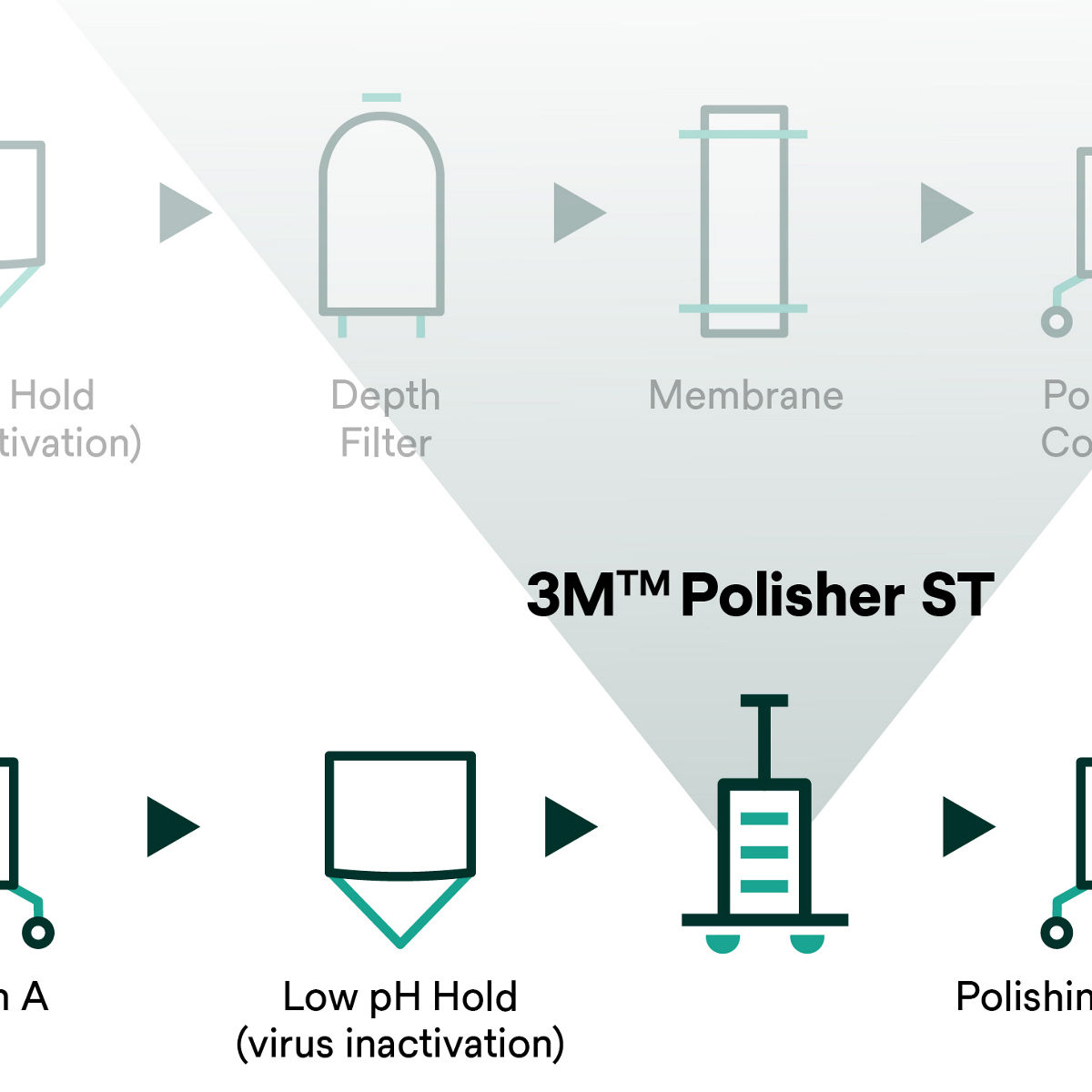 One scientist’s hand holding two vials while another points at the contents.