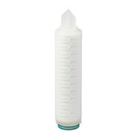 3M™ LifeASSURE™ EMC Series Filter Cartridge, EMC045F01BB, 10 in, 0.45 um, 226/Spear, Fluorocarbon, 6/Case