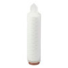 3M™ LifeASSURE™ PFS Series Filter Cartridge, PFS020A25JA-PL, 2.5 in, 0.2μm, 226/Flat Cap, Silicone, 43/CS