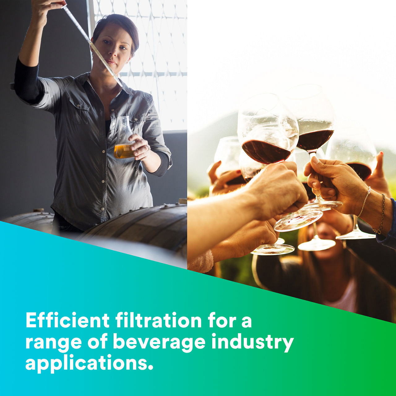 (5) LifeASSURE BA Series Filter Cartridge: Efficient filtration