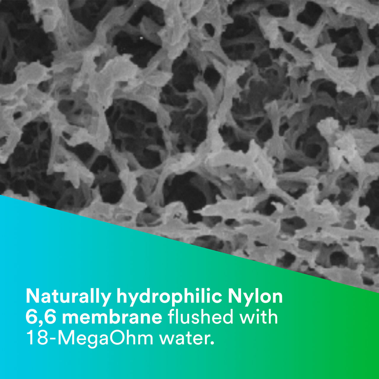 1 - LifeASSURE EMC: Naturally hydrophilic nylon 6,6 membrane flushed with 18-MegaOhm water