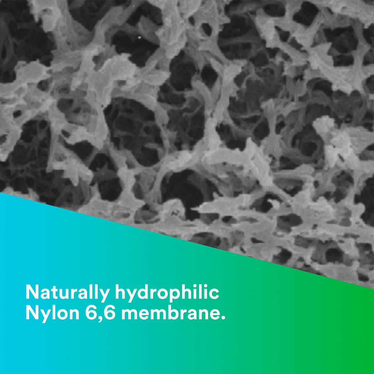 1 - LifeASSURE IMC: Naturally hydrophilic nylon 6,6 membrane