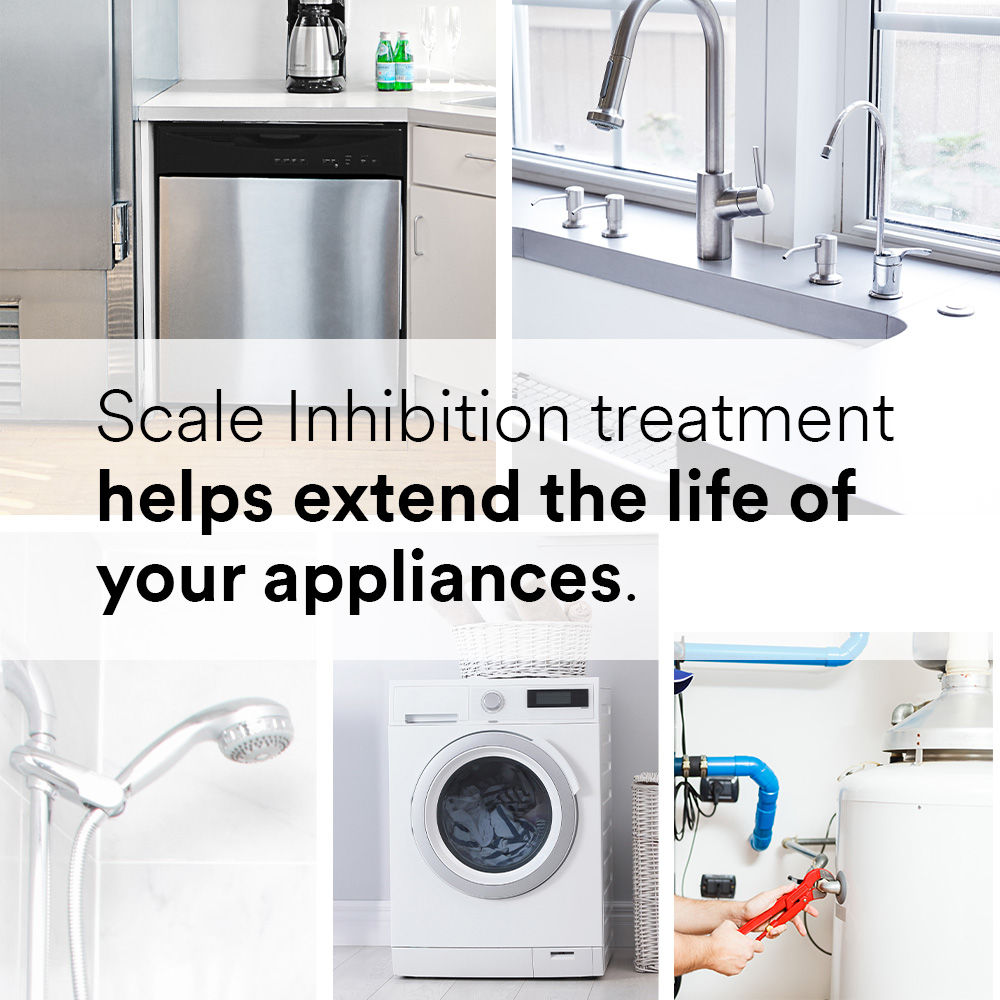 1 - Aqua-Pure™ AP430SS: Scale Inhibition treatment helps extended the life of your appliances