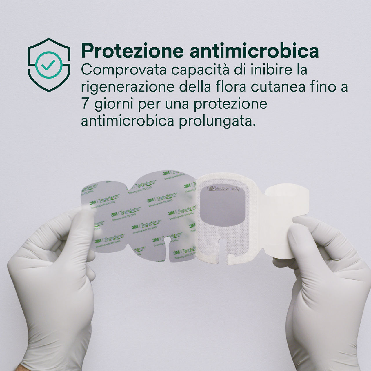 (3) Tegaderm 9132: Protezione antimicrobica