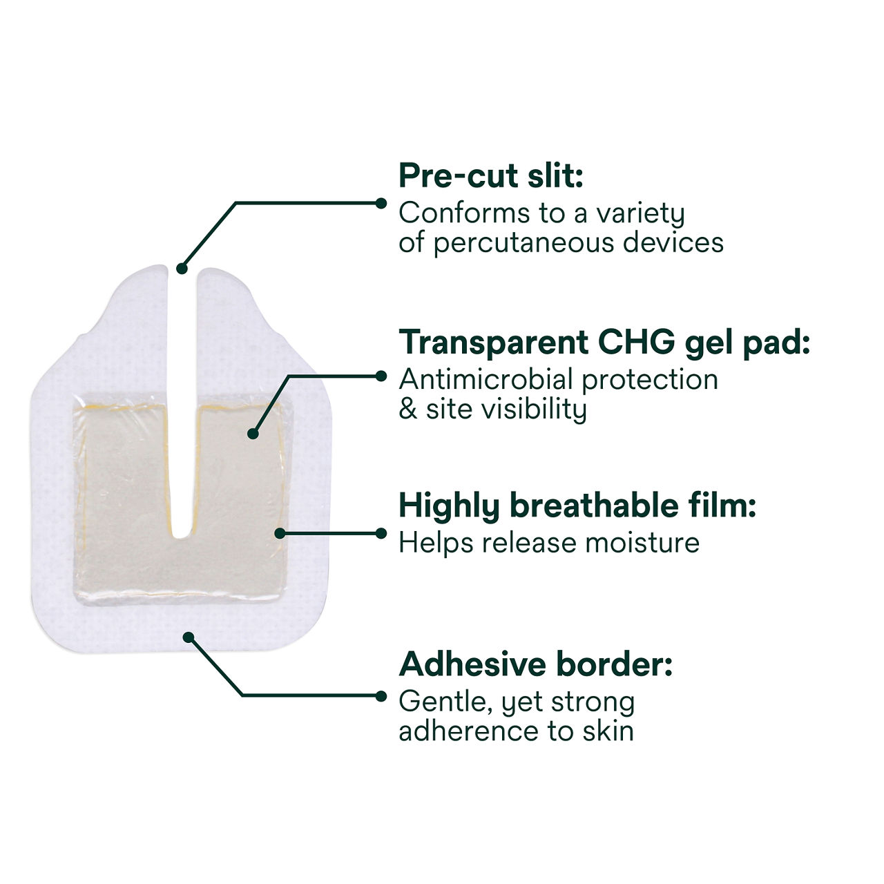 (2) Tegaderm CHG Gel Pad 1664/1664R: Components of gel pad