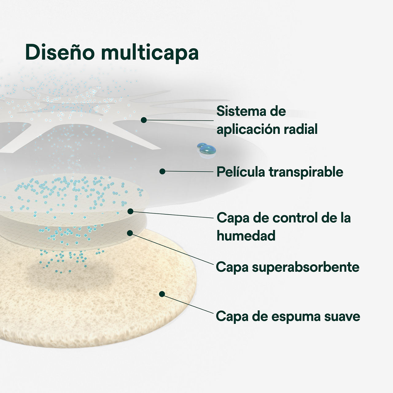 (2) Tegaderm HP Foam: Diseño de múltiples capas