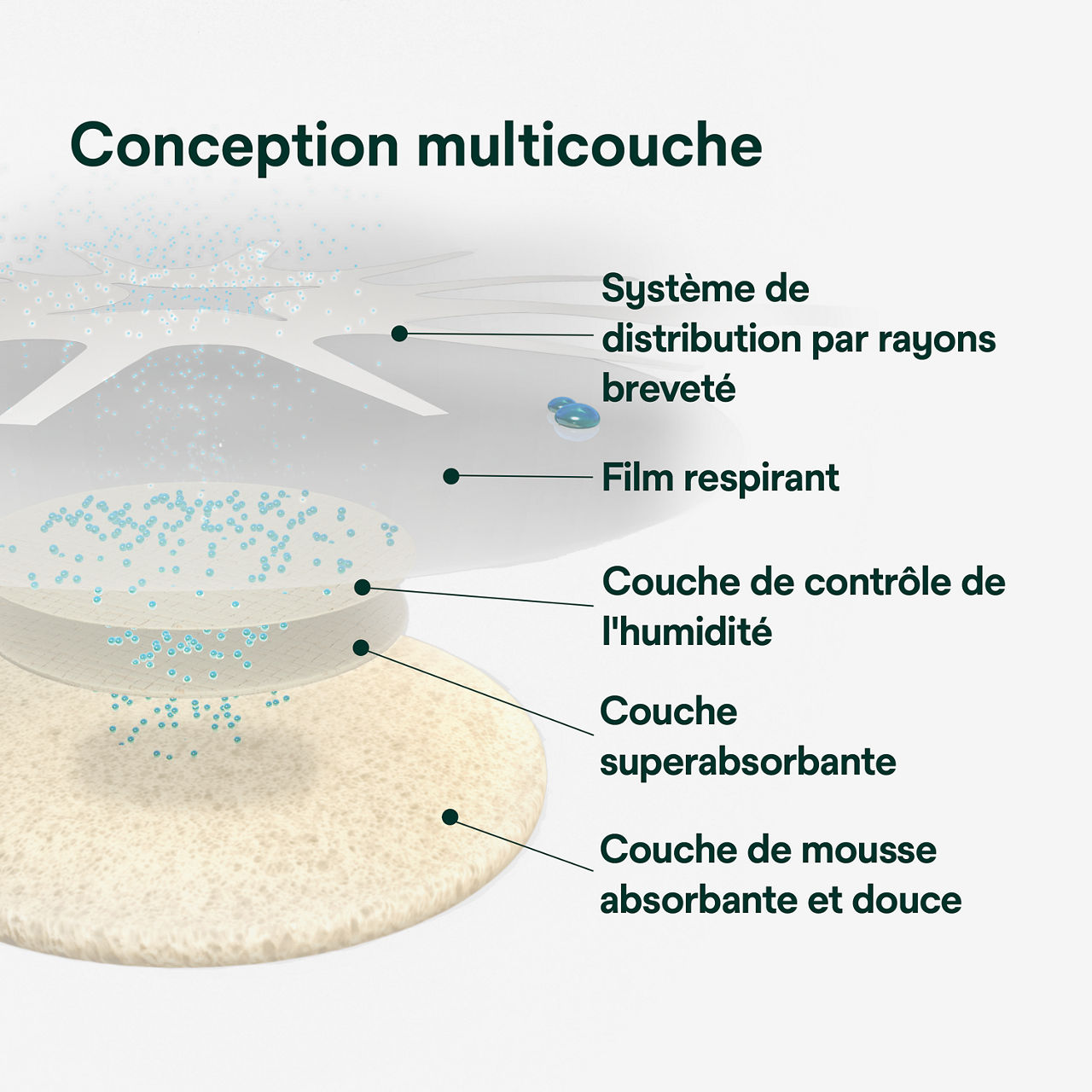 (2) Tegaderm HP Mousse : Conception multicouche