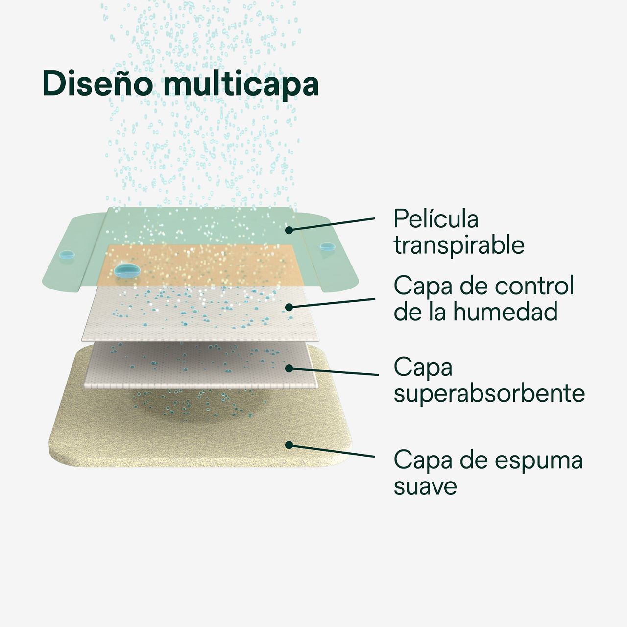 (3) Tegaderm HP Foam No Adhesivo: Diseño de múltiples capas
