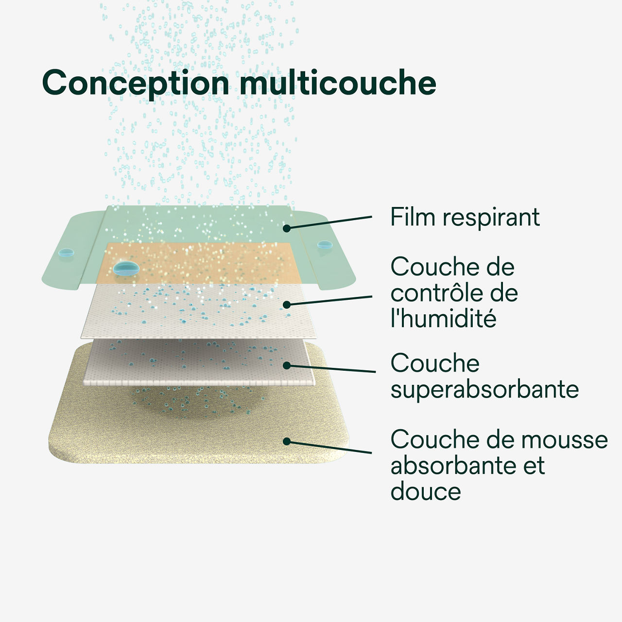 (3) Tegaderm HP Mousse Non Adhésif : Conception multicouche