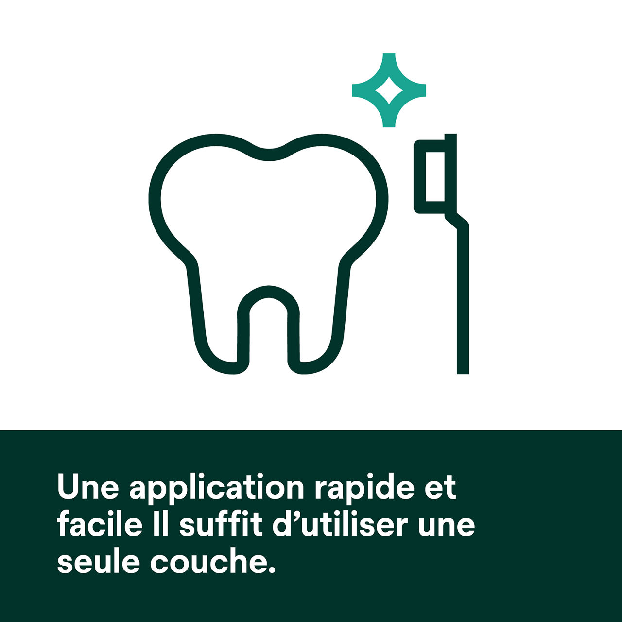 (3) Transbond MIP application rapide et facile ne nécessitant qu'une seule couche