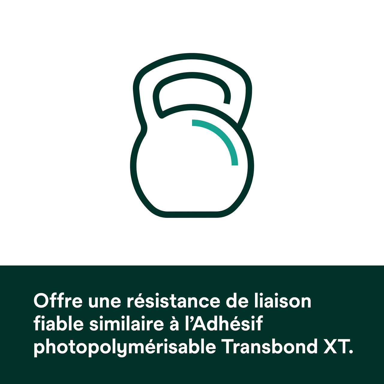 (5) Adhésif Transbond Plus à changement de couleur Force d'adhésion comparable au Transbond XT