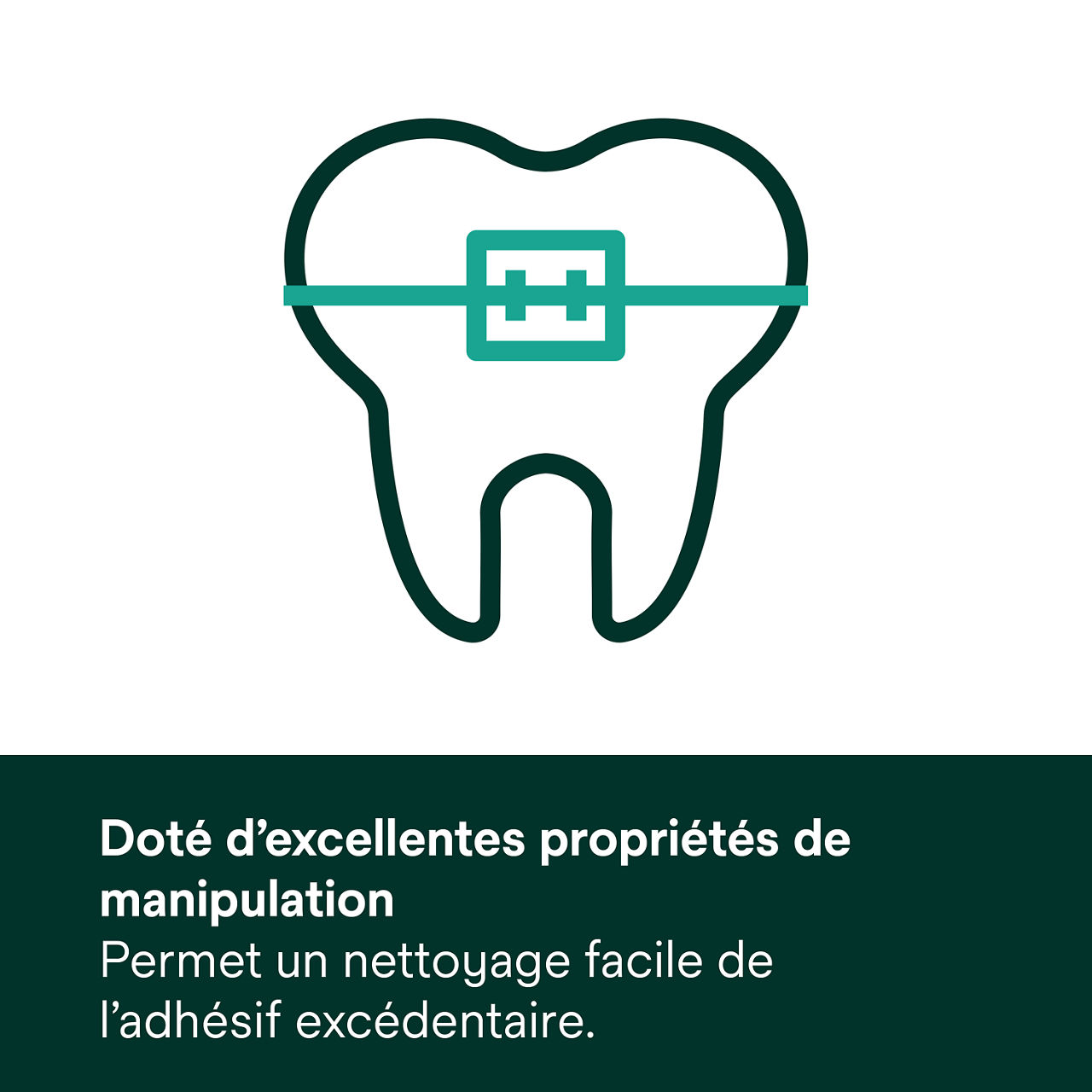 (2) Adhésif Transbond XT à polymérisation Excellentes propriétés de manipulation.