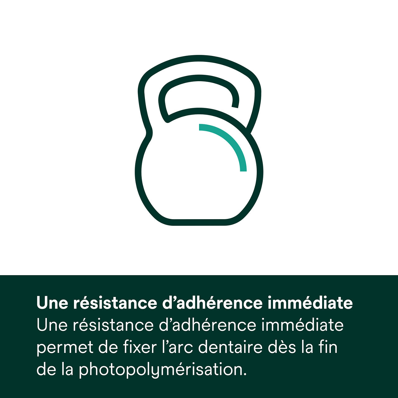 (3) Adhésif Transbond XT à polymérisation Force d'adhésion immédiate, polymérisation rapide