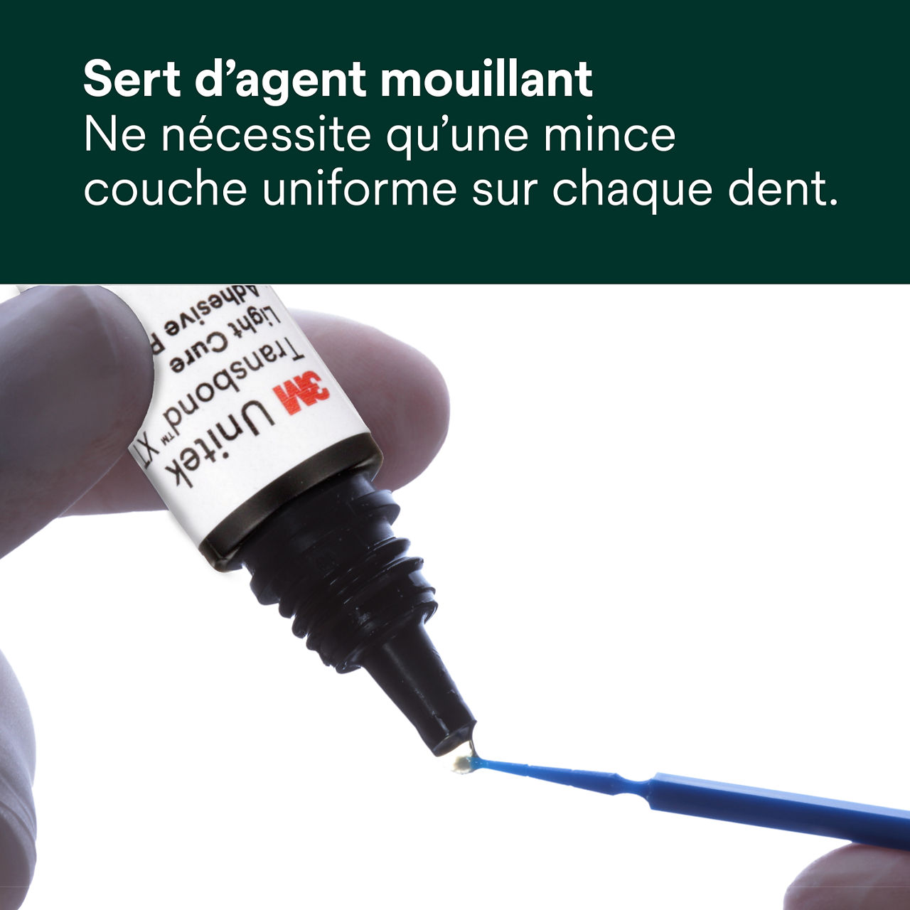 (3) Primer adhésif Transbond XT à polymérisation sert d'agent mouillant
