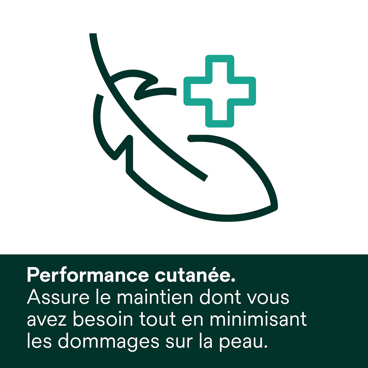 (6) Dispositif de fixation de tube : Performance de la peau