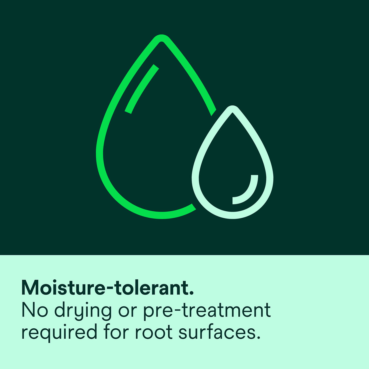 (4) Vanish XT: Moisture-tolerant no drying or pre-treatment required for root surfaces