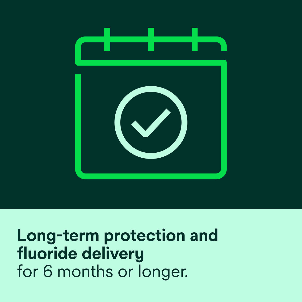 (6) Vanish XT: Long-term protection and fluoride delivery for 6 months or longer