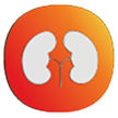 Kidneys Icon