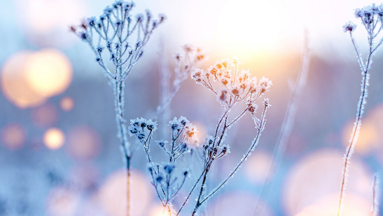 Preparing your home or business for winter weather