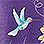 Purple/Hummingbird