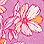 Pink Orchid Floral