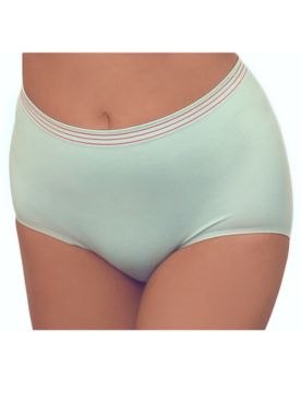 Seamless High-Waisted Modal Panty 3Pack