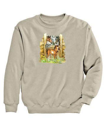 Barn Foal Graphic Sweatshirt - Image 1 of 1
