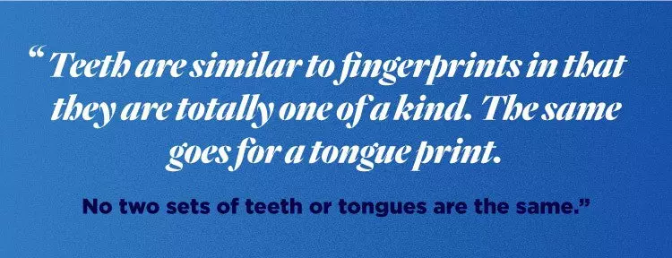 Teeth are similar to fingerprints in that they are totally one of a kind