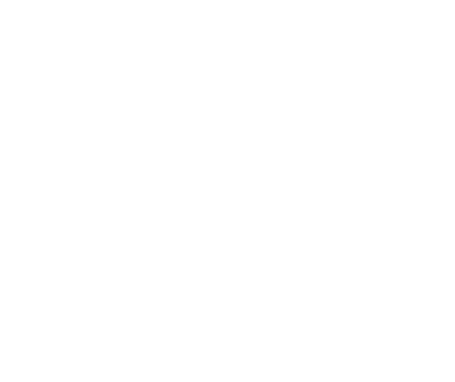 a white dandelion