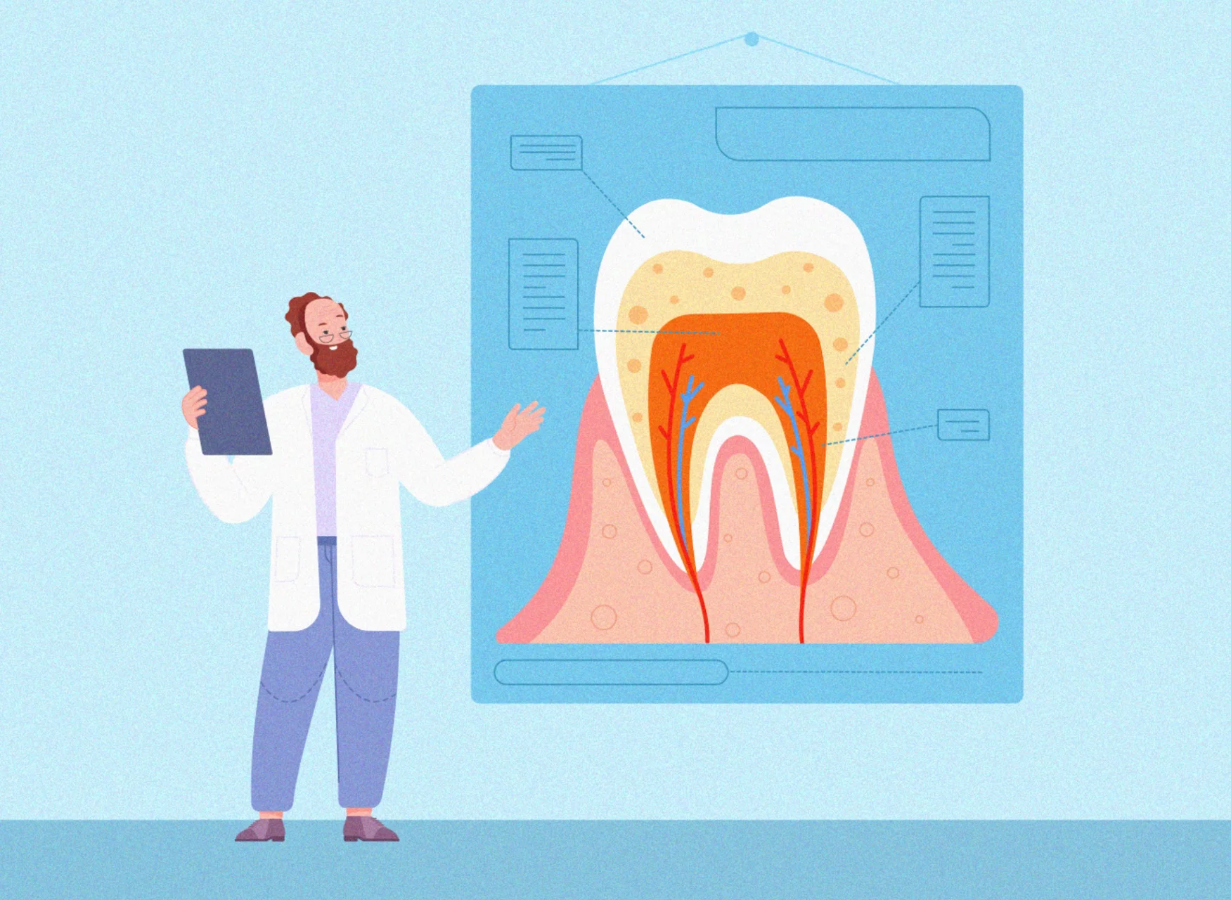 Dentist explaining a tooth graphic 