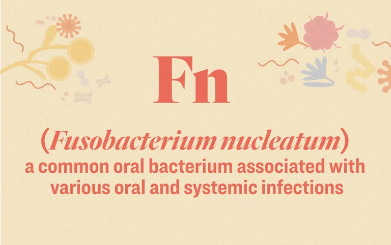 fusobacterium nucleatum