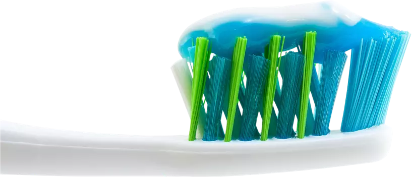 brush