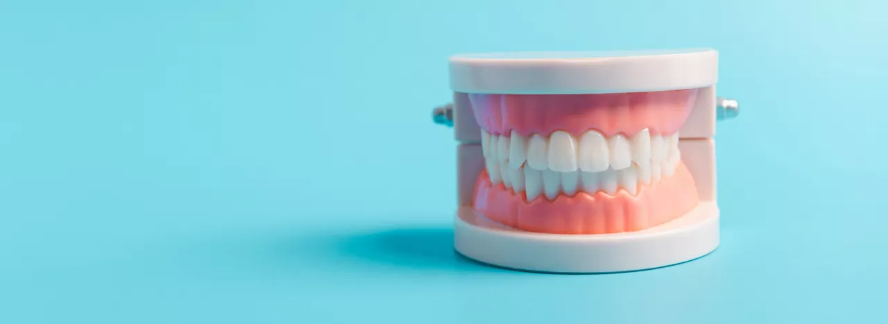 a set of aligned and white teeth