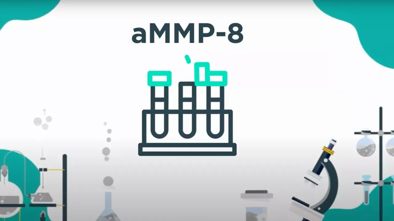 aMMP-8 graphic
