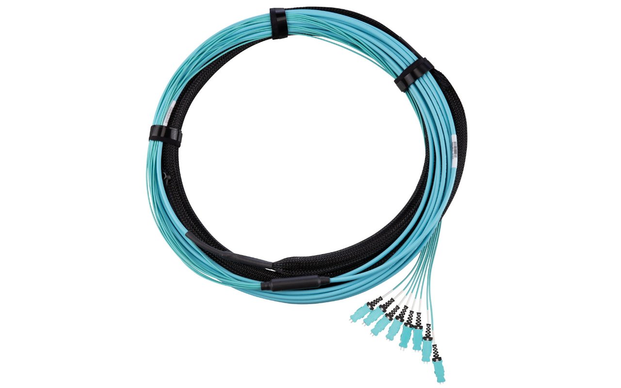 Close up view of fiber trunk