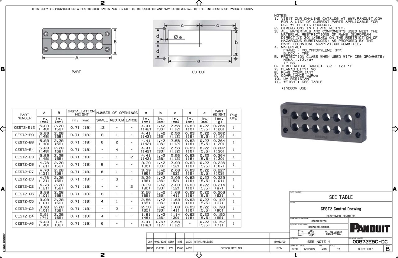 CEST2 Family Drawing